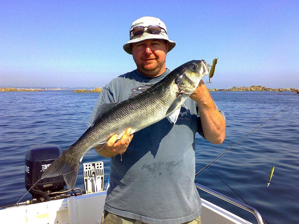Xorus Patchinko Surface Lures - Best Colour