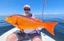 Tenryu Red Light 7ft 6in 90g - Mr Fish Ltd