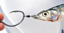 QuickRig Bait Bridling Live & Dead Bait Tool