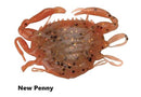 Berkley Gulp! Peeler Crab - New Penny