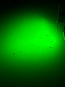 Fu-Shima Underwater Squid / Fish Lamp 50cm 9600 Lumen