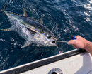 Booms Fishing - T-Bar Unhooker ~ Push-Pull