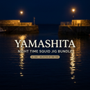 Night harbour promotional cover for the Yamashita Night Time Squid Jig Bundle of 10, selected by Mr Fish