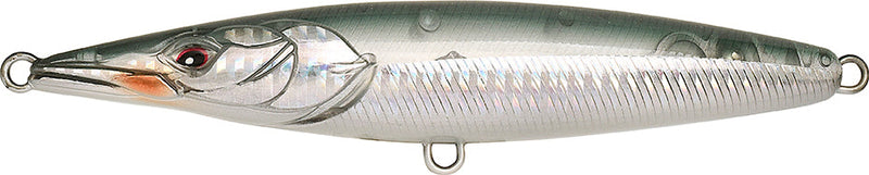 Xorus Asturie 110 Belone