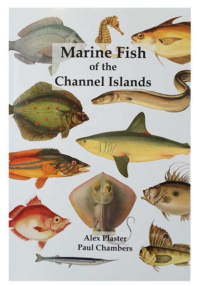Marine Fish of the Channel Islands Book