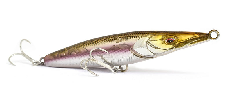 Xorus Asturie 150 French Wakasagi