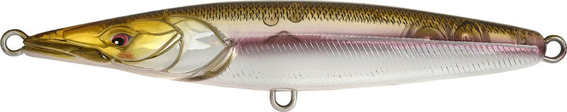 Xorus Asturie 150 French Wakasagi